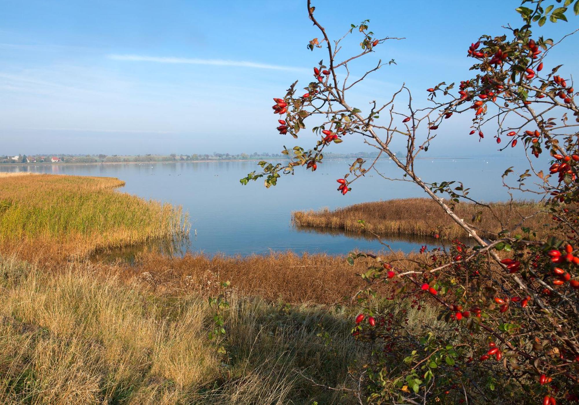 Gaude Tiet Appartement Insel Poel Buitenkant foto