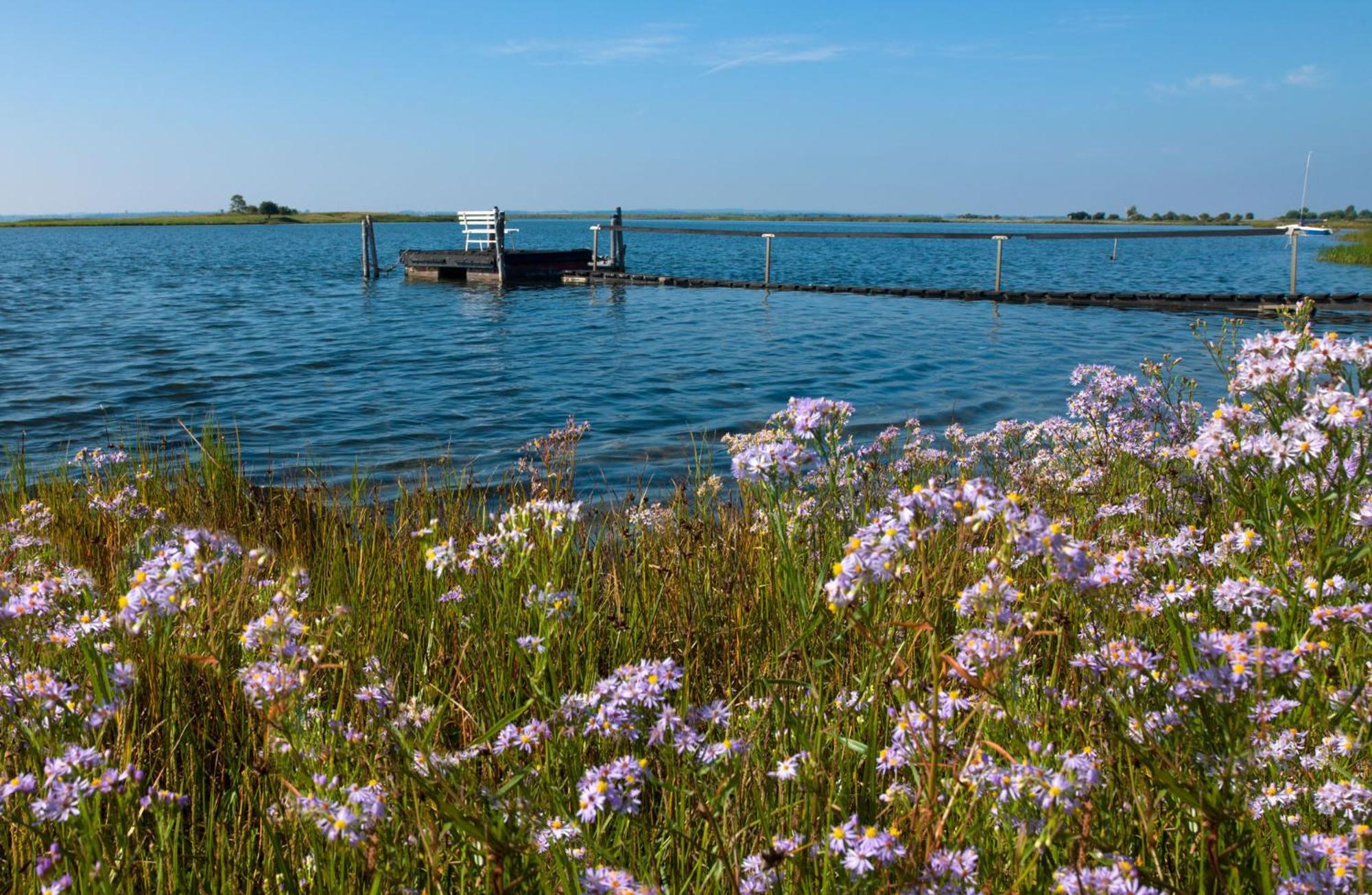 Gaude Tiet Appartement Insel Poel Buitenkant foto