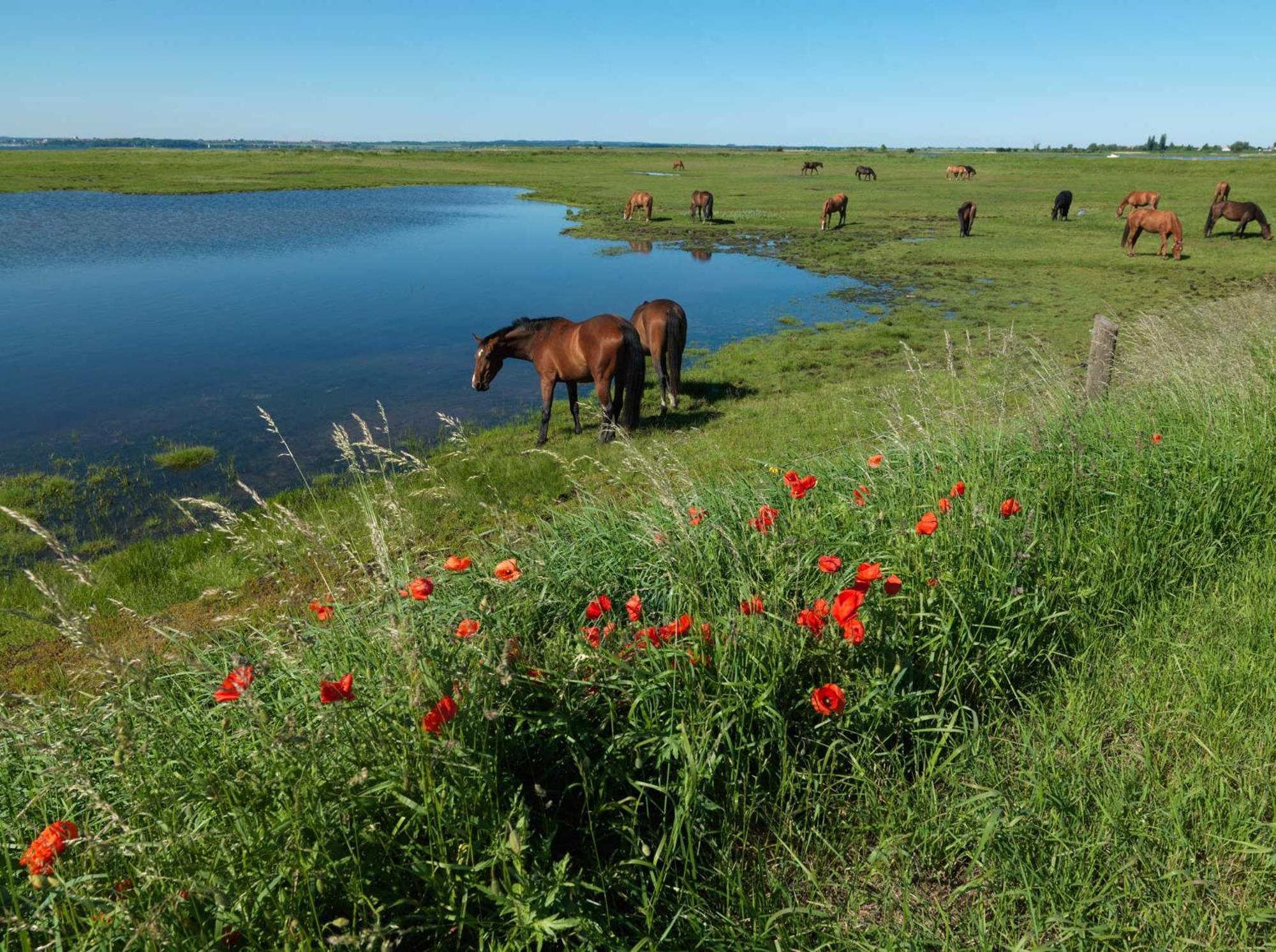 Gaude Tiet Appartement Insel Poel Buitenkant foto
