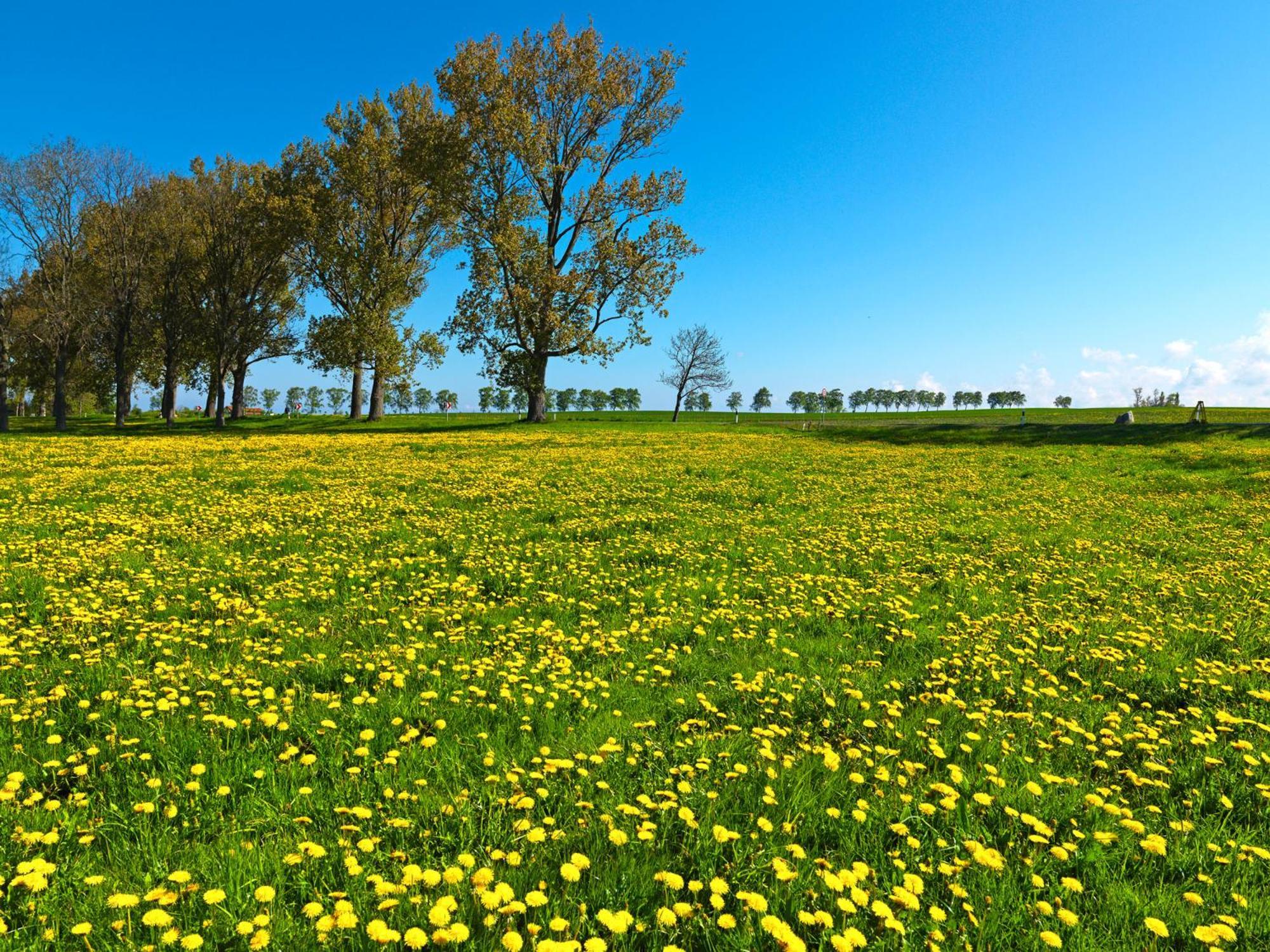 Gaude Tiet Appartement Insel Poel Buitenkant foto